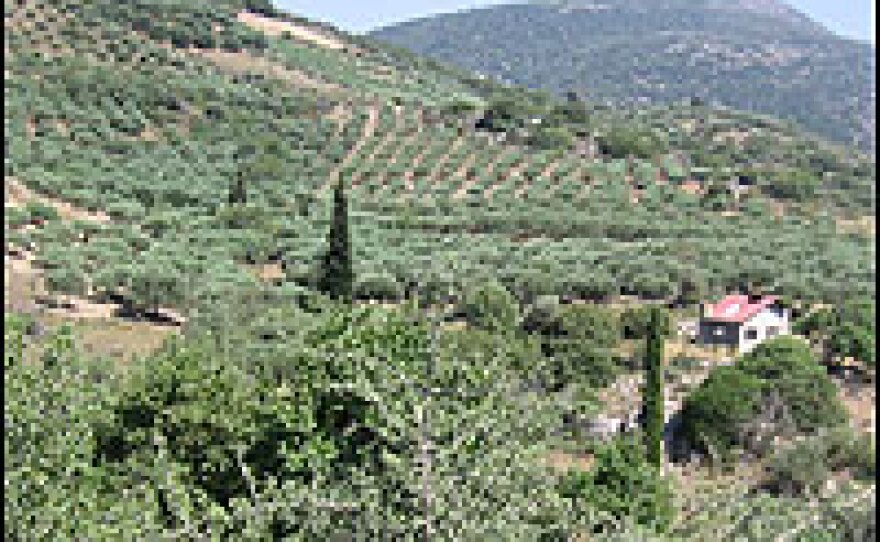 This area of Crete is near the hillside villages that were studied by American nutritionists who came to the island in the 1960s.