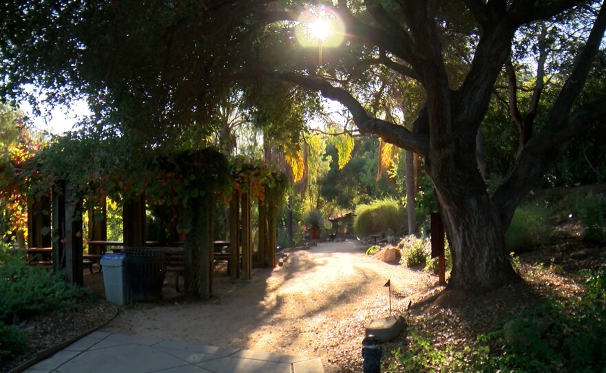 A picnic area is shown beside a garden pathway on November 19, 2024.