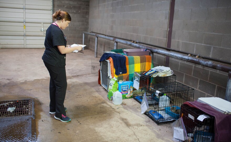 Jessica Manzer, a veterinary technician, checks on the cats at a temporary animal shelter set up at the Cleveland County Fairgrounds in Norman, Okla.