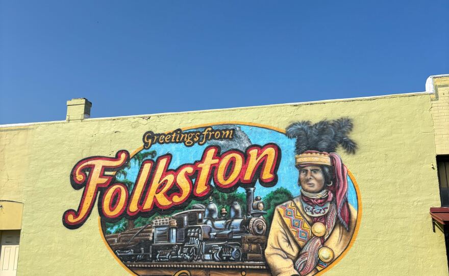 The town of Folkston is best known as a gateway to the Okefenokee Swamp, and for the "Folkston Funnel", a confluence of rail lines that brings somewhere between 60 and 100 trains past the town's viewing platforms each day, a number that changes depending on who you talk to.