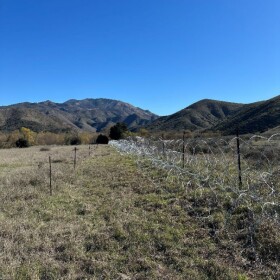 An undated photograph of a razor