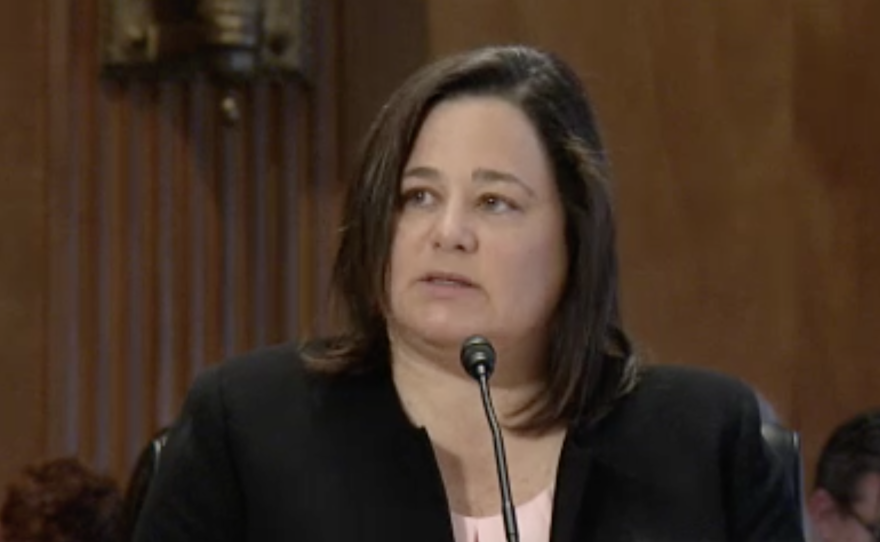 Nancy Beck testifies in front of the Senate in 2017 when she was a senior policy director at the American Chemistry Council trade group. President Trump nominated Beck to head the Consumer Product Safety Commission.