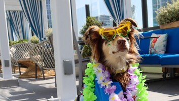 Yappy Hour at Margaritaville Hotel San Diego