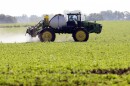 A farmer sprays a soybean field in Granger, Iowa. There's new and detailed data on the impact of genetically modified crops on pesticide use. Those crops replaced insecticides, and, at first, some herbicides. But herbicide use has rebounded.