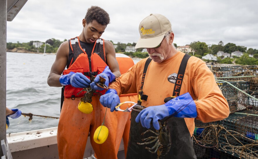 Josh Lamour (left) and Jeff Holden place rubber bands on lobster claws aboard Sea Smoke.