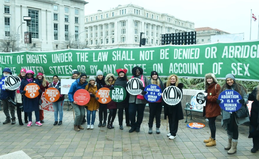 Members of the National Organization for Women at the Women's March in Washington, D.C., in January.