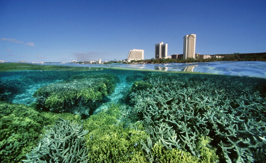 Coral Reef in Tumon Bay, Guam, 2005.