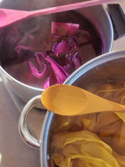 Intro to Natural Dye & Shibori Workshop