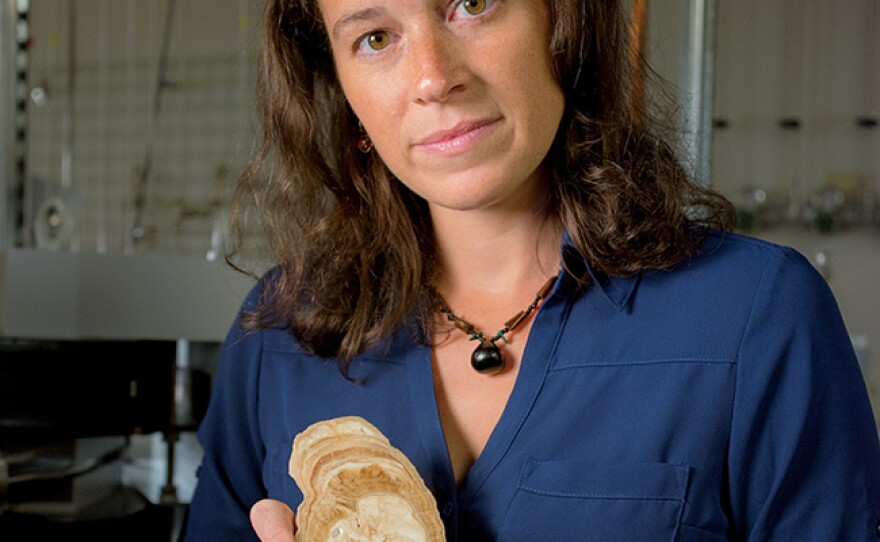 Dr. Amy Frappier, Paleoclimatologist, in lab with stalagmite.