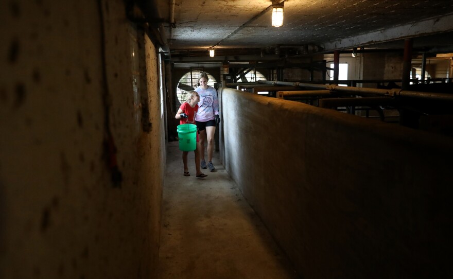 Eve Clark, 10, and Maggie Berry, 17, help with chores at Vision Aire Farms. They are seen in the barn, adjacent to the milking parlor.