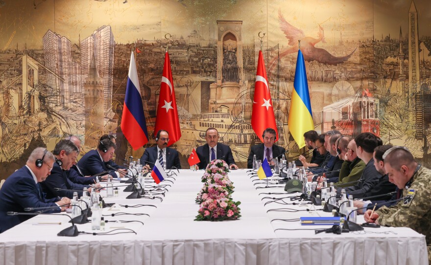 Turkish Foreign Minister Mevlut Cavusoglu speaks during Tuesday's peace talks in Istanbul between delegations from Russia and Ukraine.