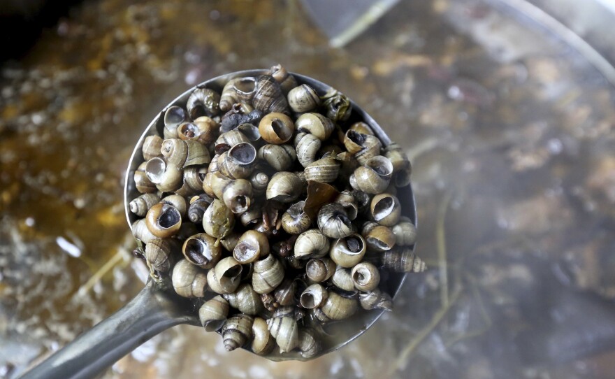 Workers at a food factory in Liuzhou use river snails to make the broth for snail noodles.