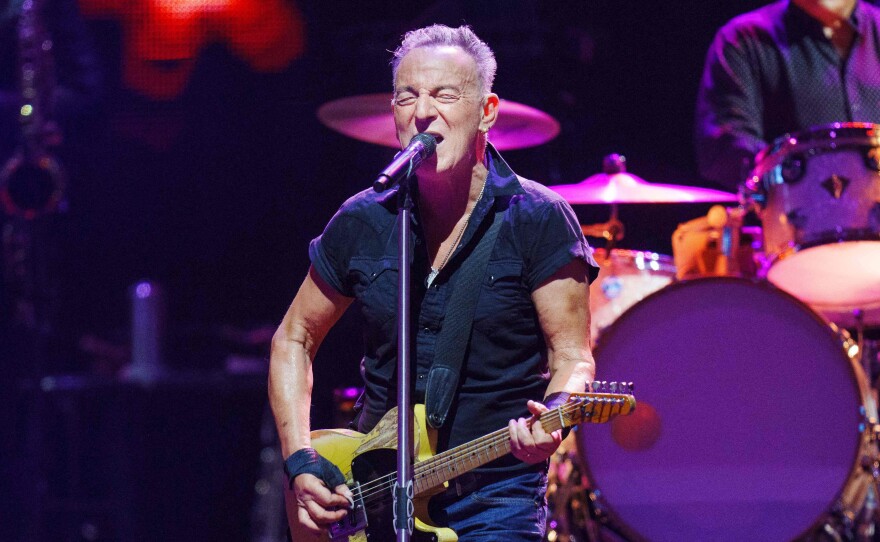 Bruce Springsteen cited symptoms of peptic ulcer disease in taking a break from his international tour. The singer, who says he'll make up the concert dates, is seen here performing in Copenhagen, Denmark, in July.