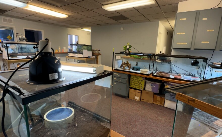 Pictured, reptile enclosures with heating lamps atop at the EcoVivarium in Escondido, Calif. February 1, 2023.