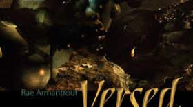 UCSD professor Rae Armantrout won the Pulitzer Prize for poetry for her collection "Versed."