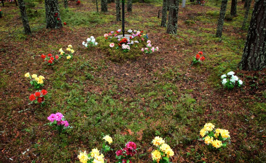 Plastic flowers mark a section of the mass graves at Sandarmokh, Russia, where thousands of Solovki  prisoners were killed and buried.  A forest was planted on top of them in hopes  that no one would ever find the graves.