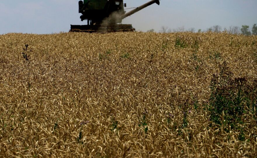 A grain combine harvester collects wheat near Novoazovsk outside Mariupol, Ukraine.