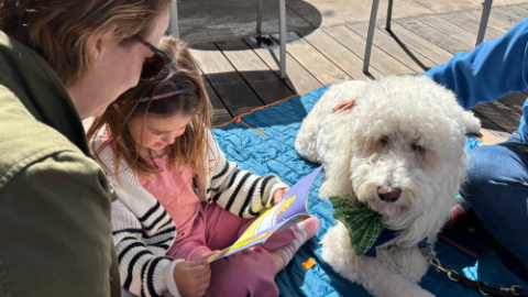 Reading to Dogs