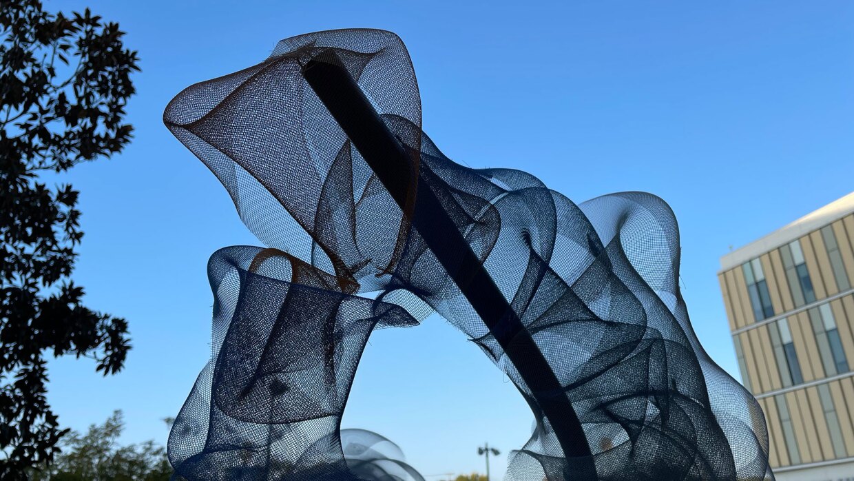 Detail of Jennifer Vargas' "Shadow Work 01," is shown on Dec. 5, 2021. The wire mesh sculpture is on view outside the Mesa College Art Gallery through Dec. 15.