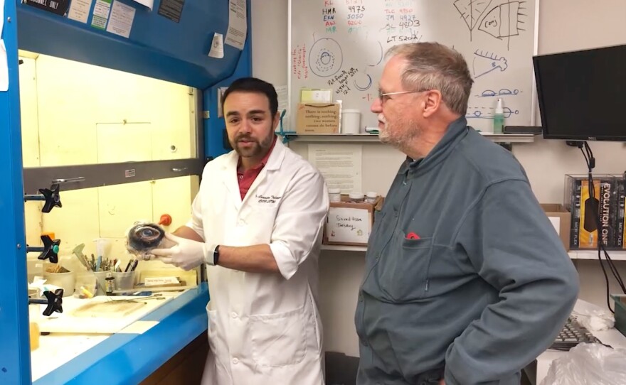 Leandro Teixeira and Richard Dubielzig of the University of Wisconsin - Madison open the whale eye package.