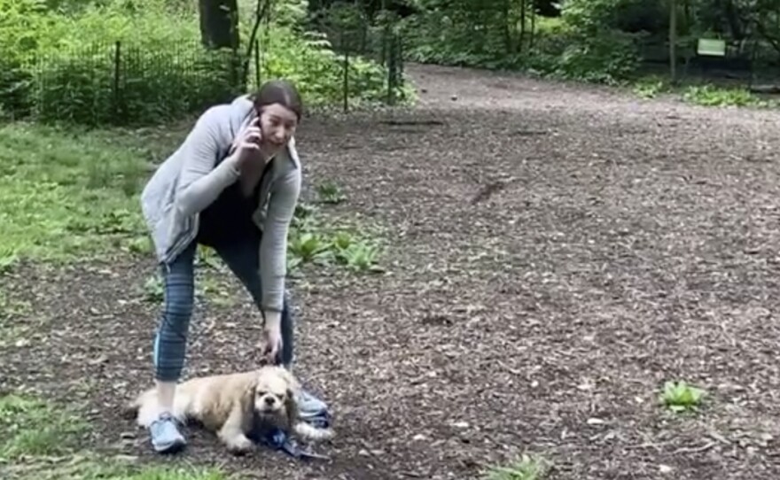 The Manhattan district attorney says he will prosecute Amy Cooper, who called police after a black man asked her to leash her dog in New York's Central Park.