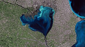 Lake St. Claire on the U.S./Canada border appears heart-shaped from space.