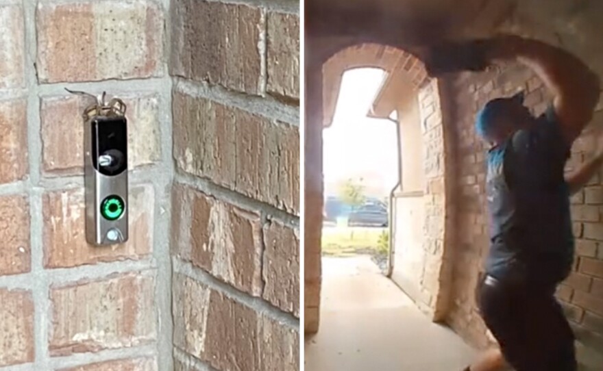 An Amazon delivery driver is now Tik Tok famous after a video of him killing a spider for a customer gained over 10 million views on the app.