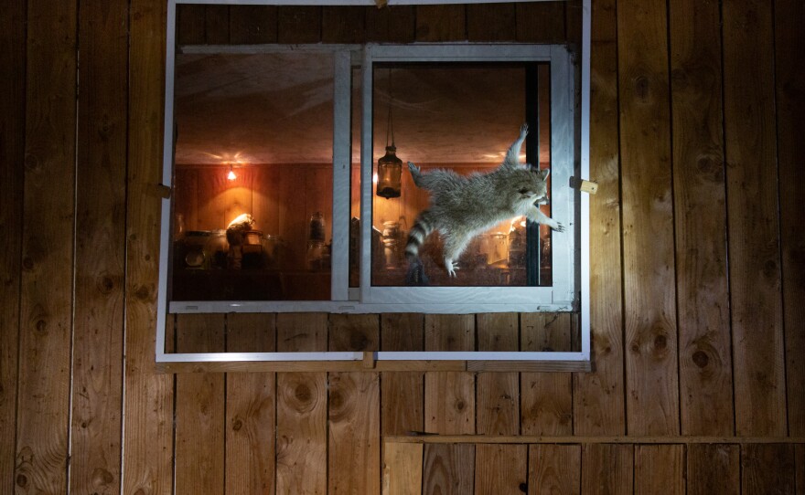 <em>How do you get that damn window open?</em> in France.