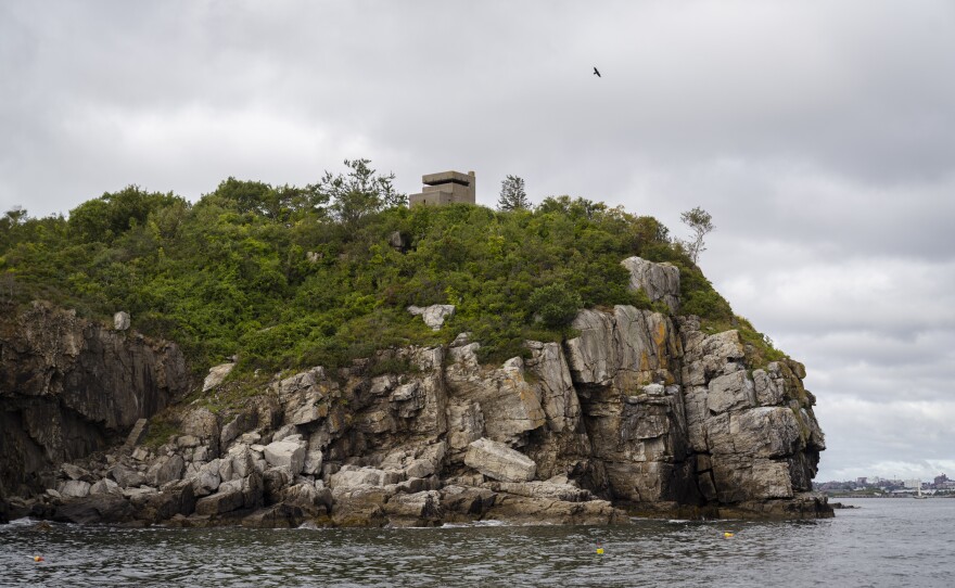 The coastline near the Portland Pier, as seen from aboard Sea Smoke.