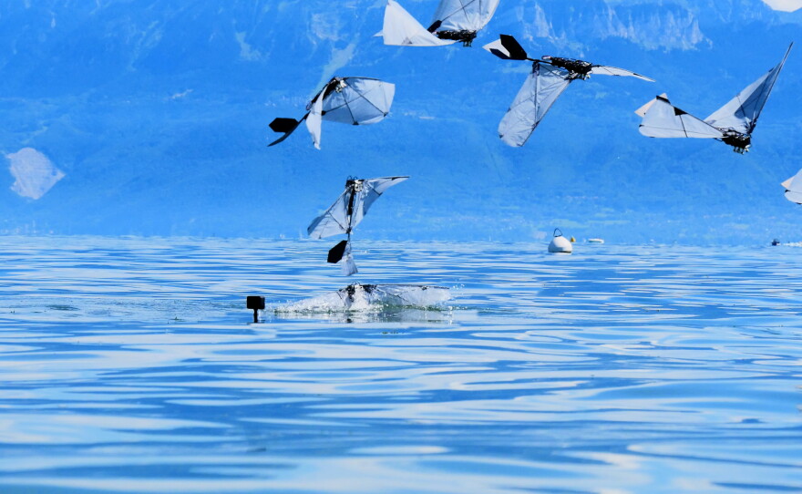 A photo-illustration shows the flight arc of the robot, as it leaves the water and soars into the air.