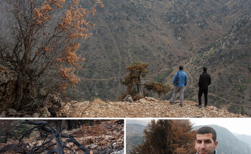 Khaled Taleb, 29, a conservationist who is the director and founder of Akkar Trail, and his brother Ali Taleb, 22, a botanist, look out over a valley from the site of a recent wildfire which burned a number of cedar trees, in the Mishmish forest. Left: A scorched juniper tree that was burned in a recent wildfire which also burned a number of cedar trees. Right: Khaled Taleb