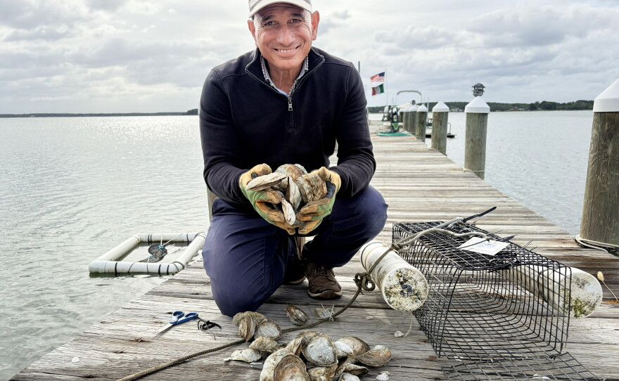 John Consoli marvels at oysters. "I think I'm more enthusiastic about something that's like a rock than anybody else could possibly be," he says.