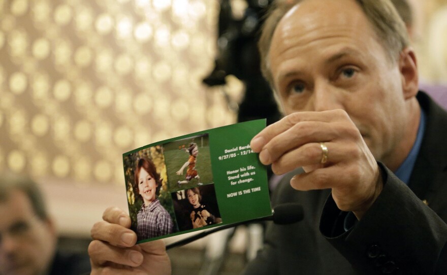 Mark Barden, whose son Daniel, 7, died in the Sandy Hook school shooting last year, testifies at an Illinois State Senate hearing on assault weapon legislation in May.