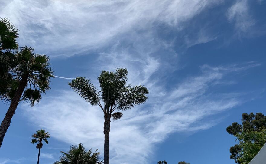 Palm trees on a particularly hot weekend in San Diego, July 12, 2020.