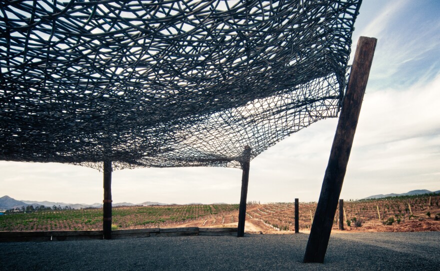 A canopy above the Vena Cava the winery was created out of recycled materials.