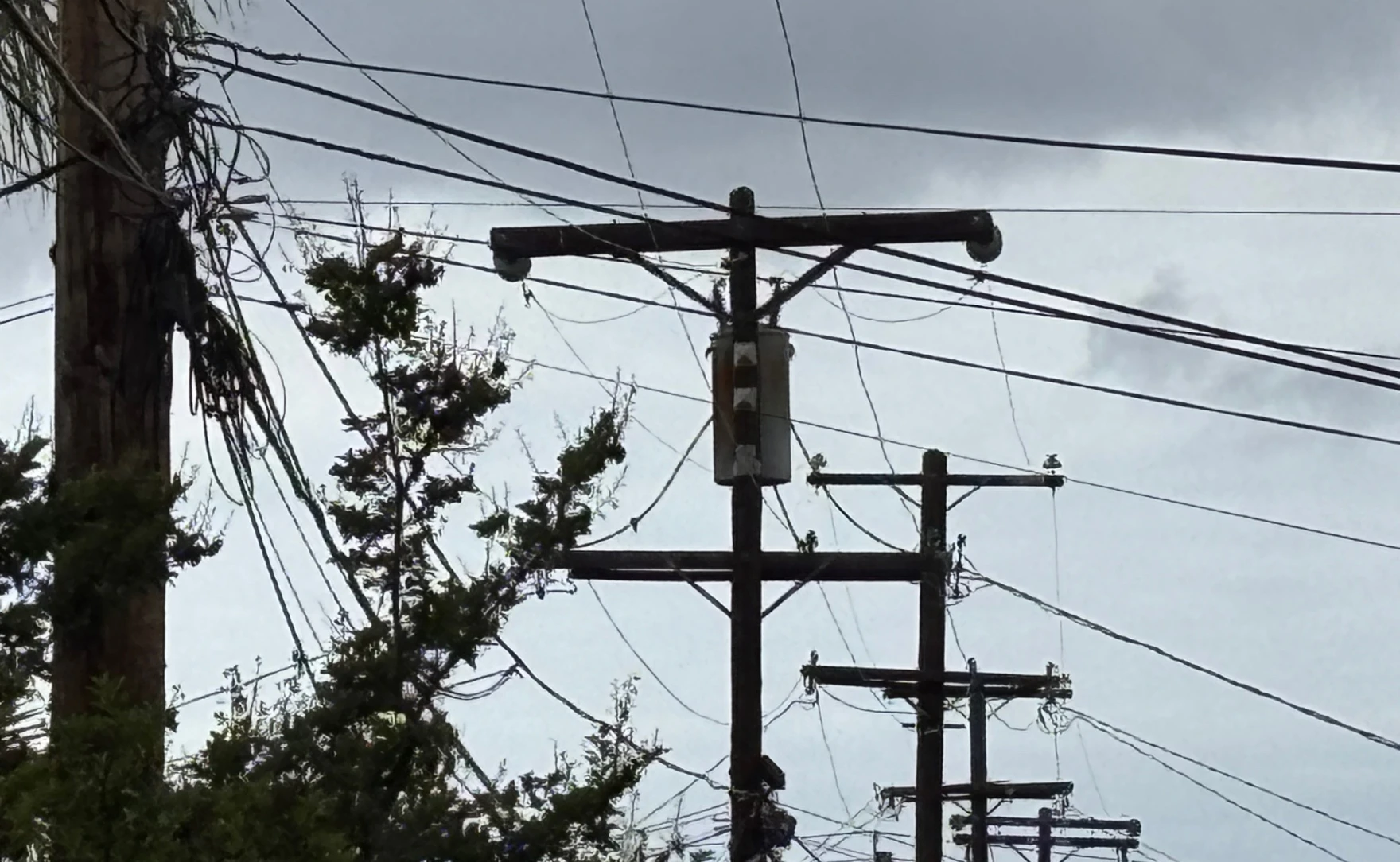 SDG&E customers to receive $32.53 climate credit in April billing cycle