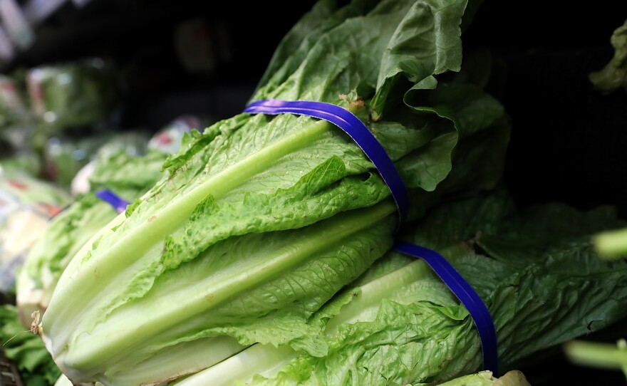 Investigators who are trying to track down the source of E. coli in romaine lettuce have seen this before. They're tracking the exact strain of bacteria that caused a small outbreak a year ago.