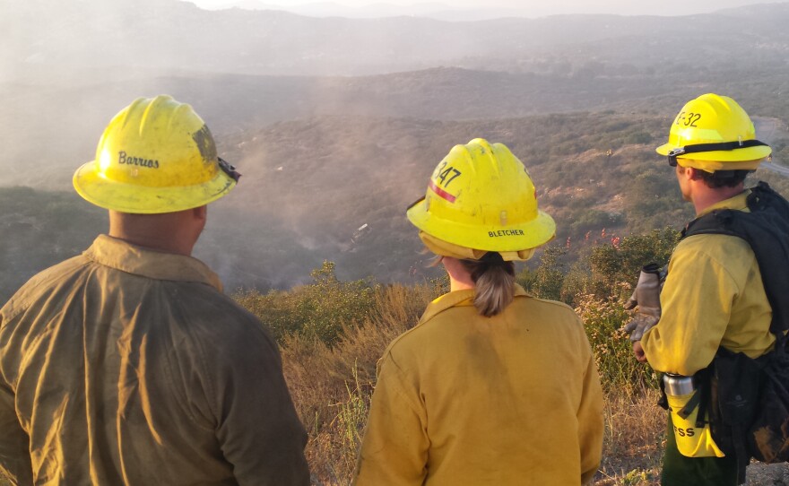 Three firefighters stand watch as crews from the air and ground fought the Wildcat fire near Lakeside, June 17, 2015.