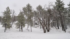 Snow is shown on Mount Laguna, Jan. 7, 2016.