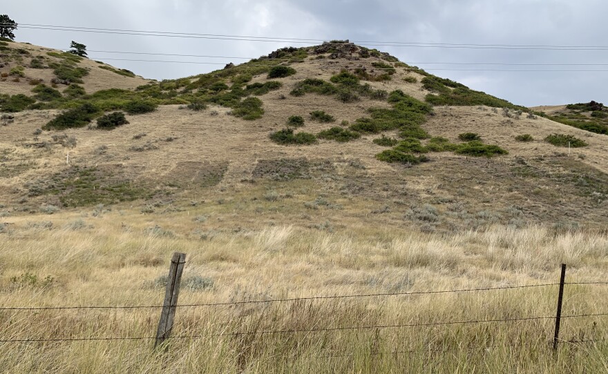Eighteen plots are laid out on the hillside on Brian Mealor’s property in Sheridan County, Wyo. in this undated photo. Mealor is studying how differing amounts of herbicide sprayed at different times of year can be used to manage invasive species.