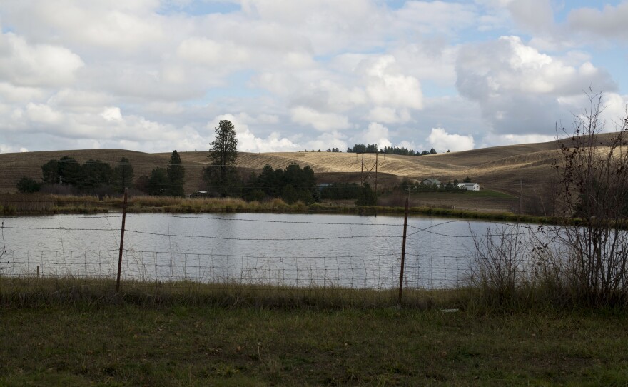 The ponds located at Syringa Mobile Home Park are used as sewage treatment. During the last 30 years, state inspectors have repeatedly found that the community's owner was breaking drinking water laws.