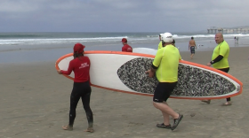 Injured veterans, wearing bright yellow shirts, head out to the waves at La Jolla Shores to learn how to surf during the Veterans National Summer Sports Clinic on Sept. 16, 2013.