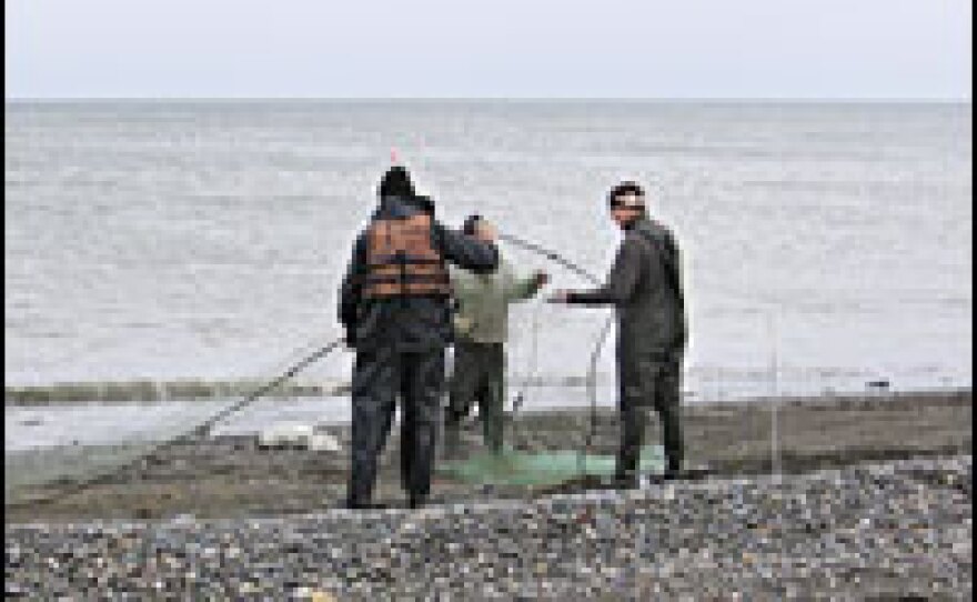 Fishermen set to work at the Sea of Okhotsk on Kamchatka's Western shore. One fisherman says if they did not poach fish, they would go hungry.
