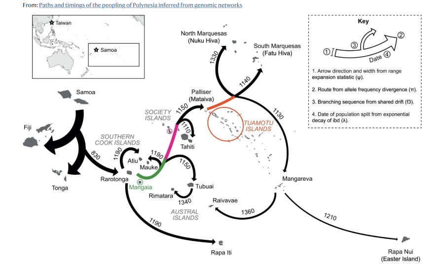 Map showing Polynesian migration in the South Pacific, based on genetic evidence. Undated