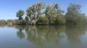 A bird rookery on an island that sits in the middle of a manufactured water channel on Sept. 19, 2017