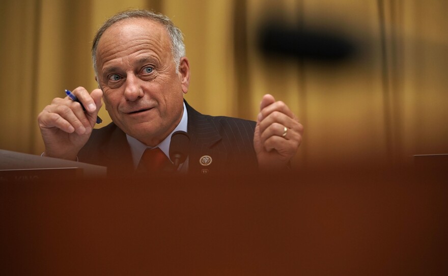 Rep. Steve King, R-Iowa, speaks during a hearing before the House Judiciary Committee on June 28 on Capitol Hill in Washington, D.C.