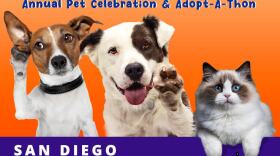 16th Annual Doggie Street Festival & Pet Adopt-A-Thon