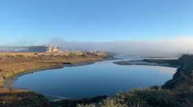 Wetlands in the San Dieguito Lagoon near the Del Mar Fairgrounds on Nov. 17, 2020.