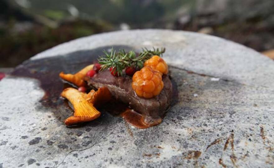 Musk ox, the meat is gamey and mild at the same time.
