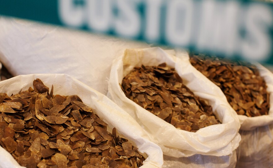 Seized pangolin scales are displayed at a Hong Kong Customs and Excise Department press conference in Kowloon, Hong Kong, China, 16 June 2014.